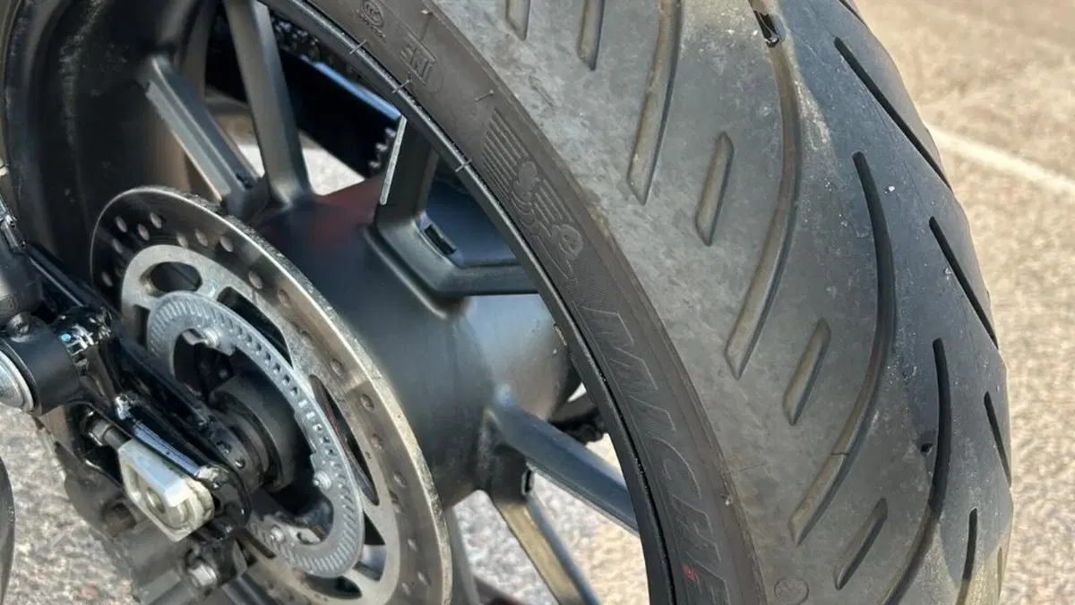 Triumph Speed Twin 900 Chrome Edition (2023)  (5)