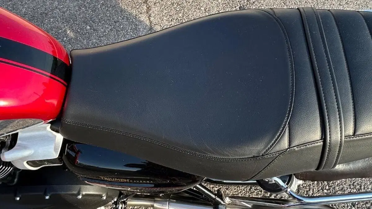 Triumph Speed Twin 900 Chrome Edition (2023)  (10)