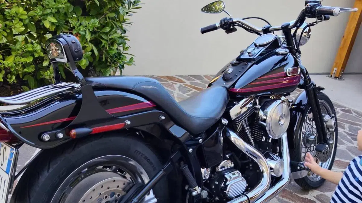 Harley-Davidson 1340 Bad Boy (1995 - 99)  (3)