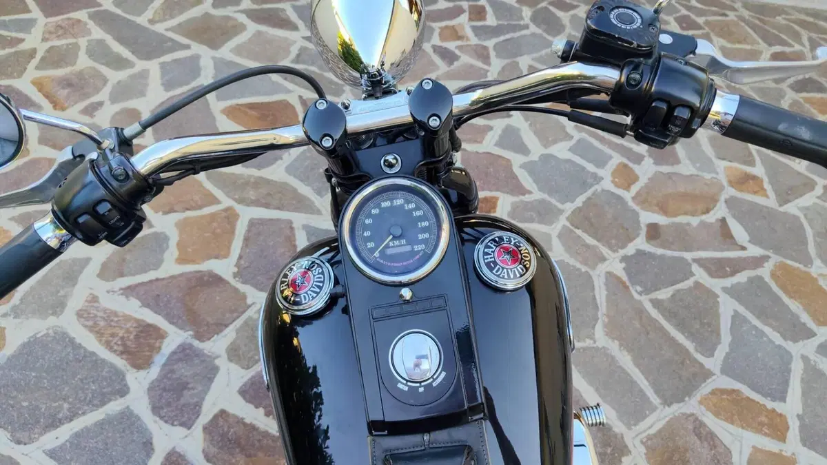 Harley-Davidson 1340 Bad Boy (1995 - 99)  (7)