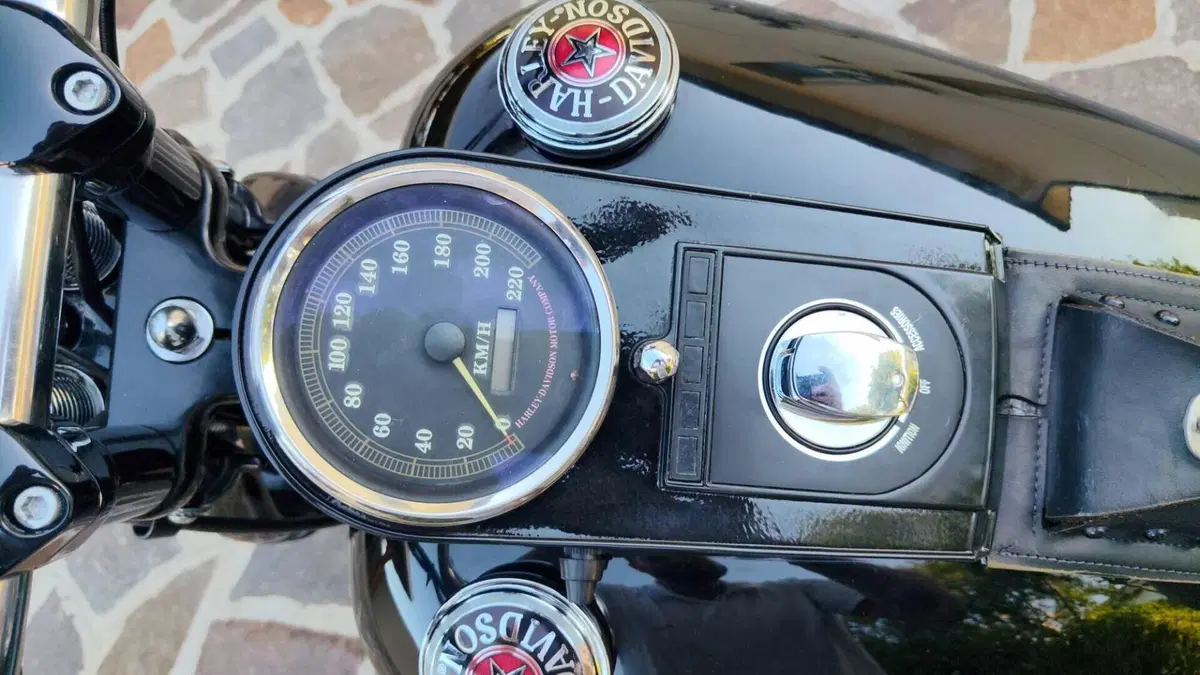 Harley-Davidson 1340 Bad Boy (1995 - 99)  (9)