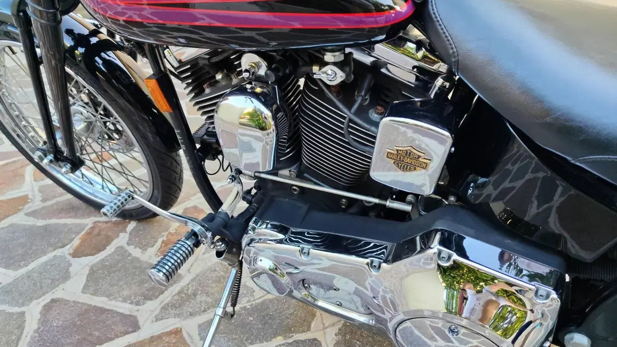 Harley-Davidson 1340 Bad Boy (1995 - 99)  (13)