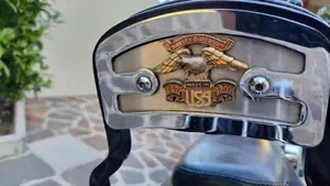Harley-Davidson 1340 Bad Boy (1995 - 99)  (15)