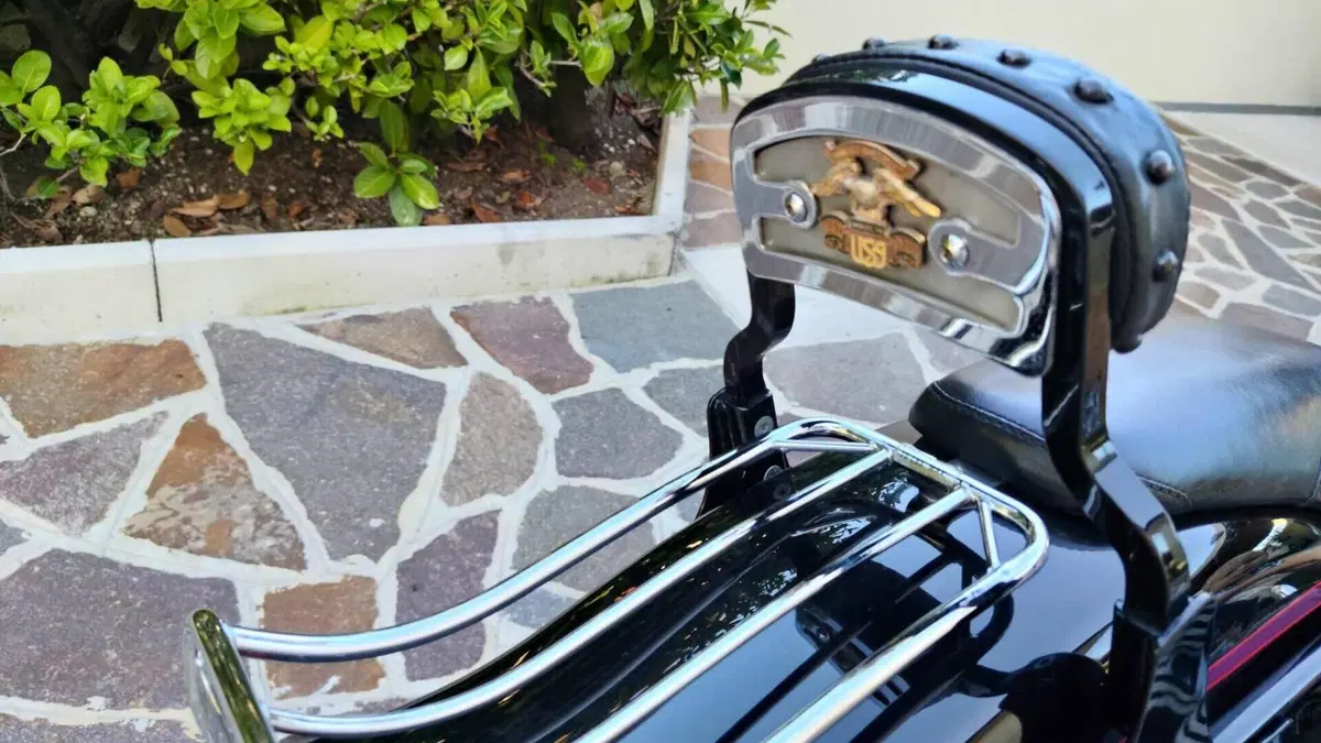 Harley-Davidson 1340 Bad Boy (1995 - 99)  (16)
