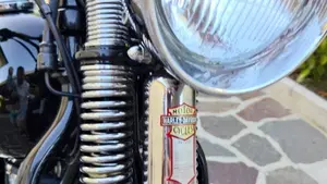 Harley-Davidson 1340 Bad Boy (1995 - 99)  (19)