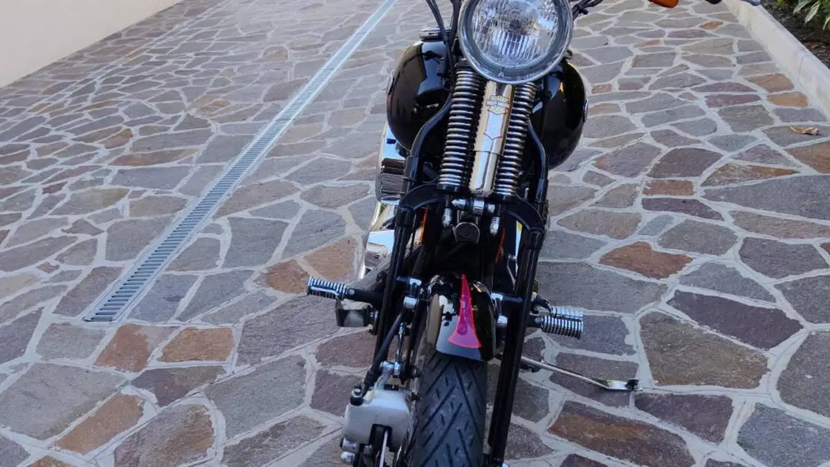Harley-Davidson 1340 Bad Boy (1995 - 99)  (20)