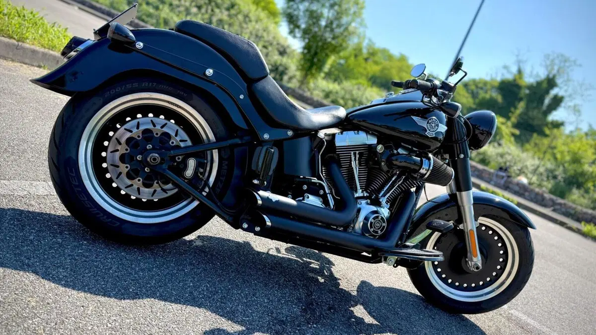Harley-Davidson 1584 Fat Boy (2008 - 10) - FLSTF  (3)