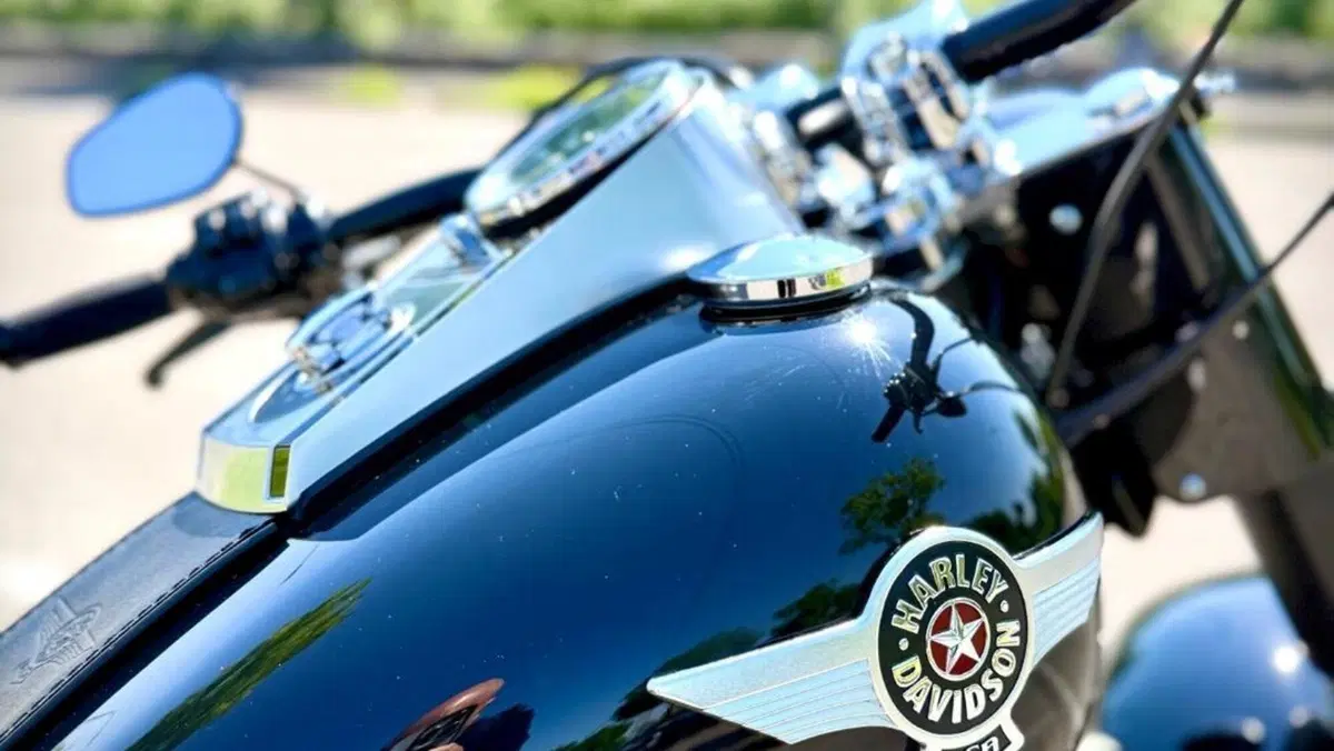 Harley-Davidson 1584 Fat Boy (2008 - 10) - FLSTF  (4)