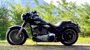Harley-Davidson 1584 Fat Boy (2008 - 10) - FLSTF  (5)