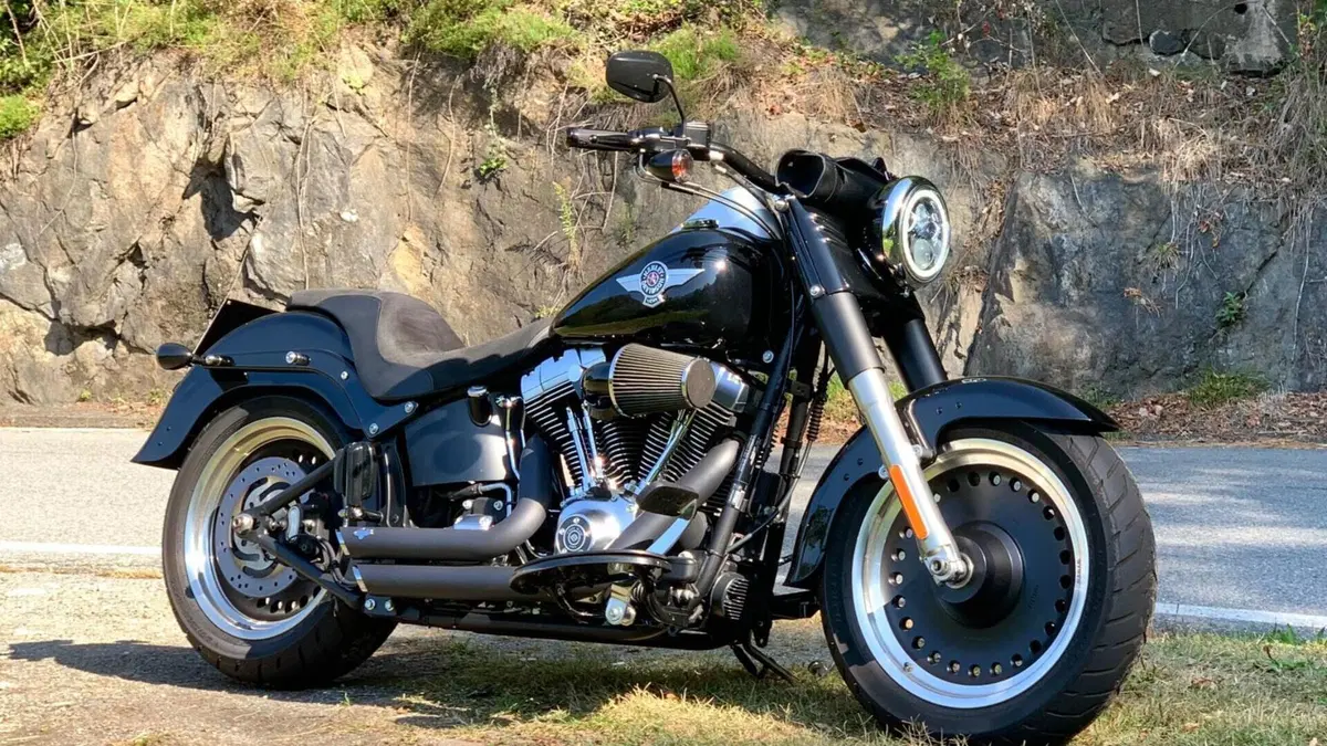Harley-Davidson 1584 Fat Boy (2008 - 10) - FLSTF  (6)