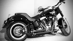 Harley-Davidson 1584 Fat Boy (2008 - 10) - FLSTF  (8)