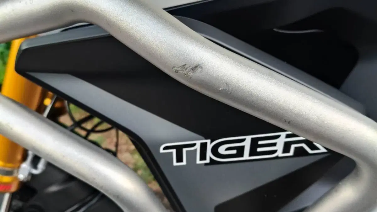Triumph Tiger 900 Rally Pro (2020 - 23)  (4)