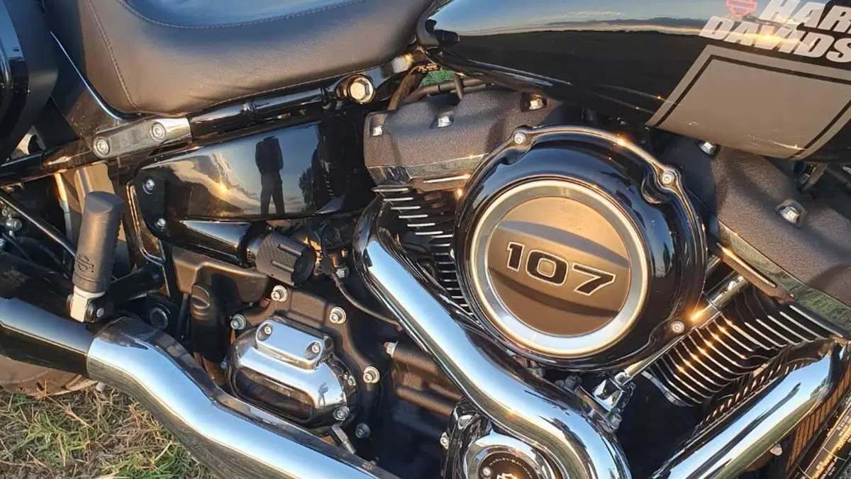 Harley-Davidson Sport Glide (2021 - 25)  (3)