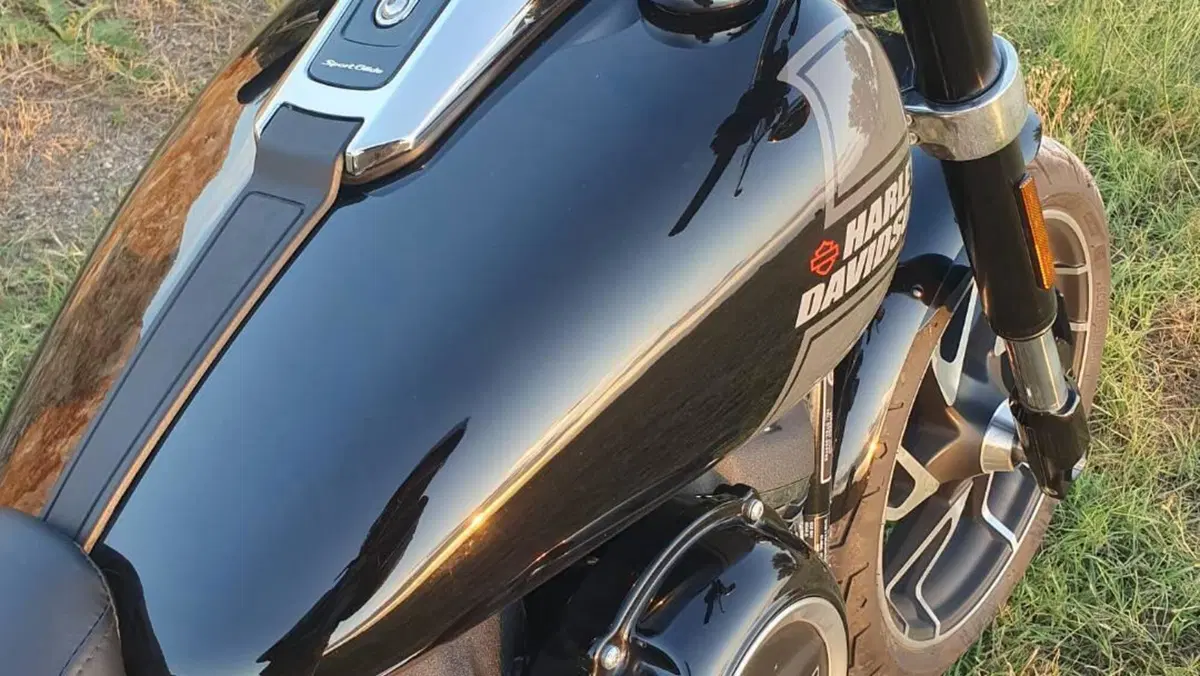 Harley-Davidson Sport Glide (2021 - 25)  (4)
