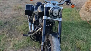 Harley-Davidson Sport Glide (2021 - 25)  (9)