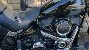 Harley-Davidson Sport Glide (2021 - 25)  (10)