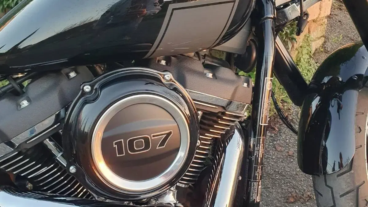 Harley-Davidson Sport Glide (2021 - 25)  (13)