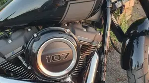 Harley-Davidson Sport Glide (2021 - 25)  (13)