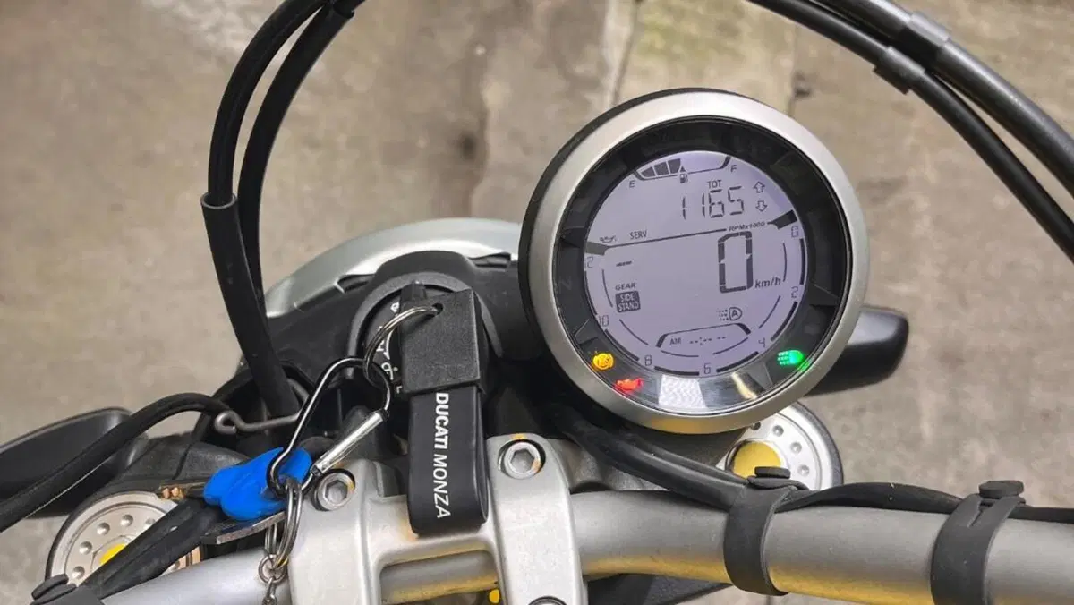 Ducati Scrambler 800 Icon (2017 - 20)  (5)