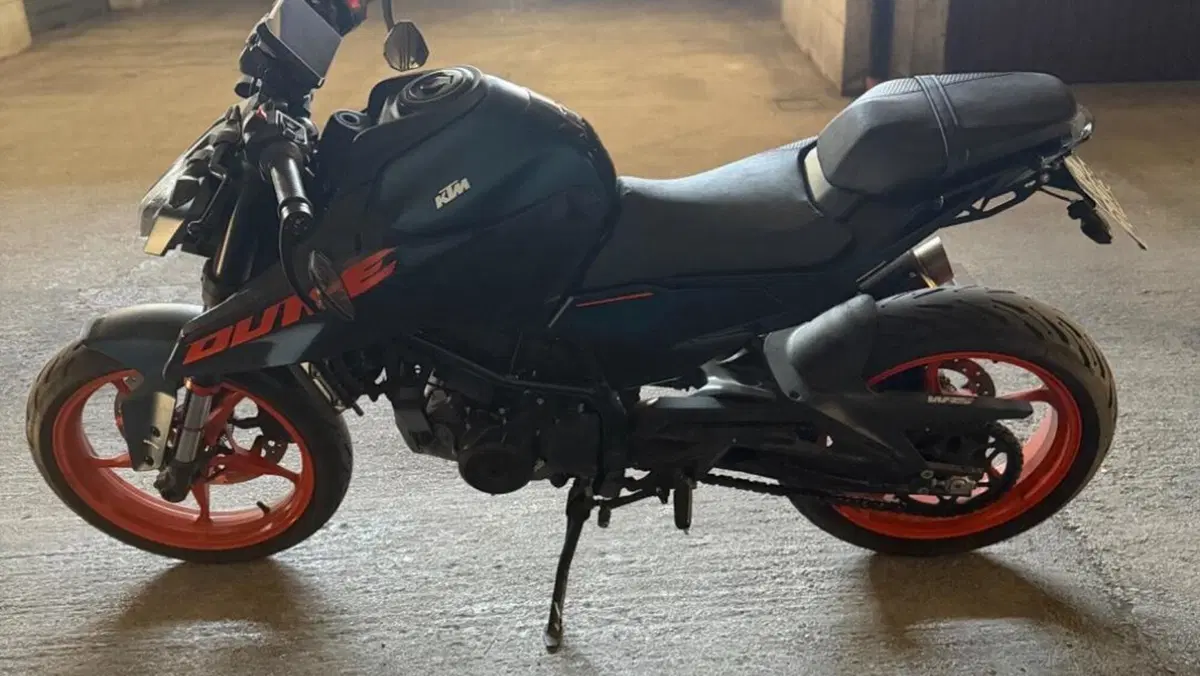 KTM 125 Duke (2024 - 25)  (2)