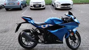 Suzuki GSX-R125 (2017 - 20)  (3)