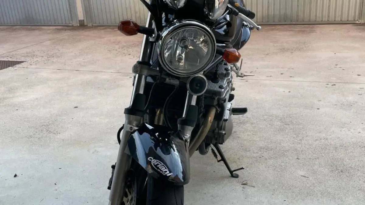 Suzuki GSF 600 Bandit (2000 - 05)  (2)