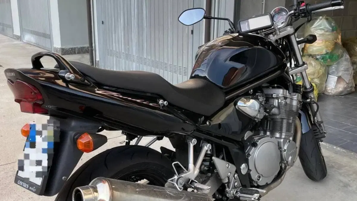 Suzuki GSF 600 Bandit (2000 - 05)  (5)