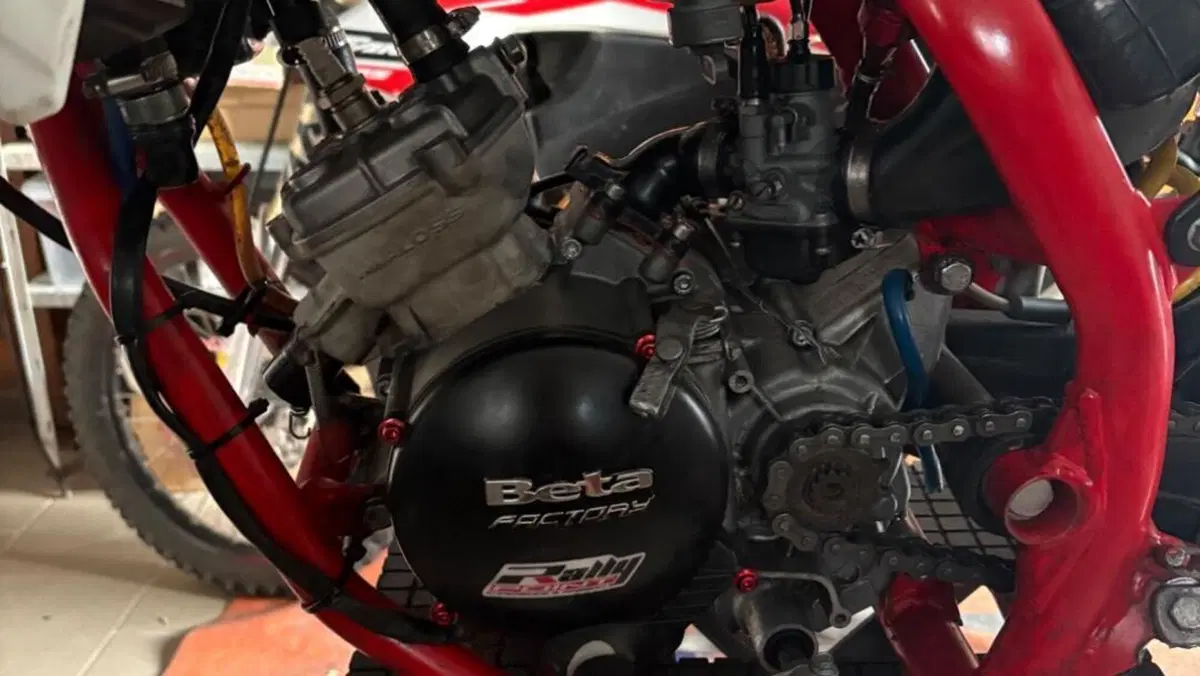 Betamotor RR 50 Motard Track (2018 - 20)  (6)
