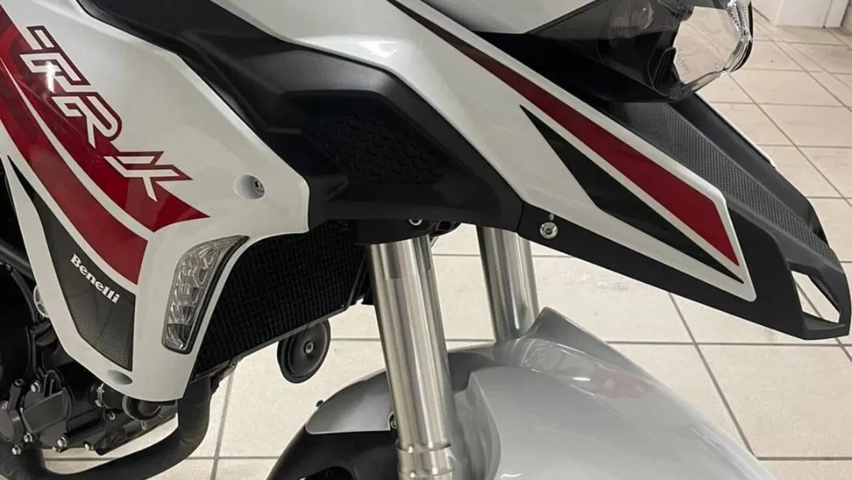 Benelli TRK 251 (2019 - 20)  (5)