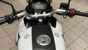 Benelli TRK 251 (2019 - 20)  (8)