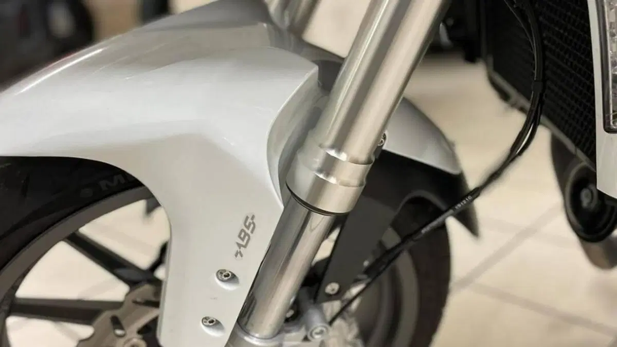Benelli TRK 251 (2019 - 20)  (9)