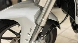 Benelli TRK 251 (2019 - 20)  (9)