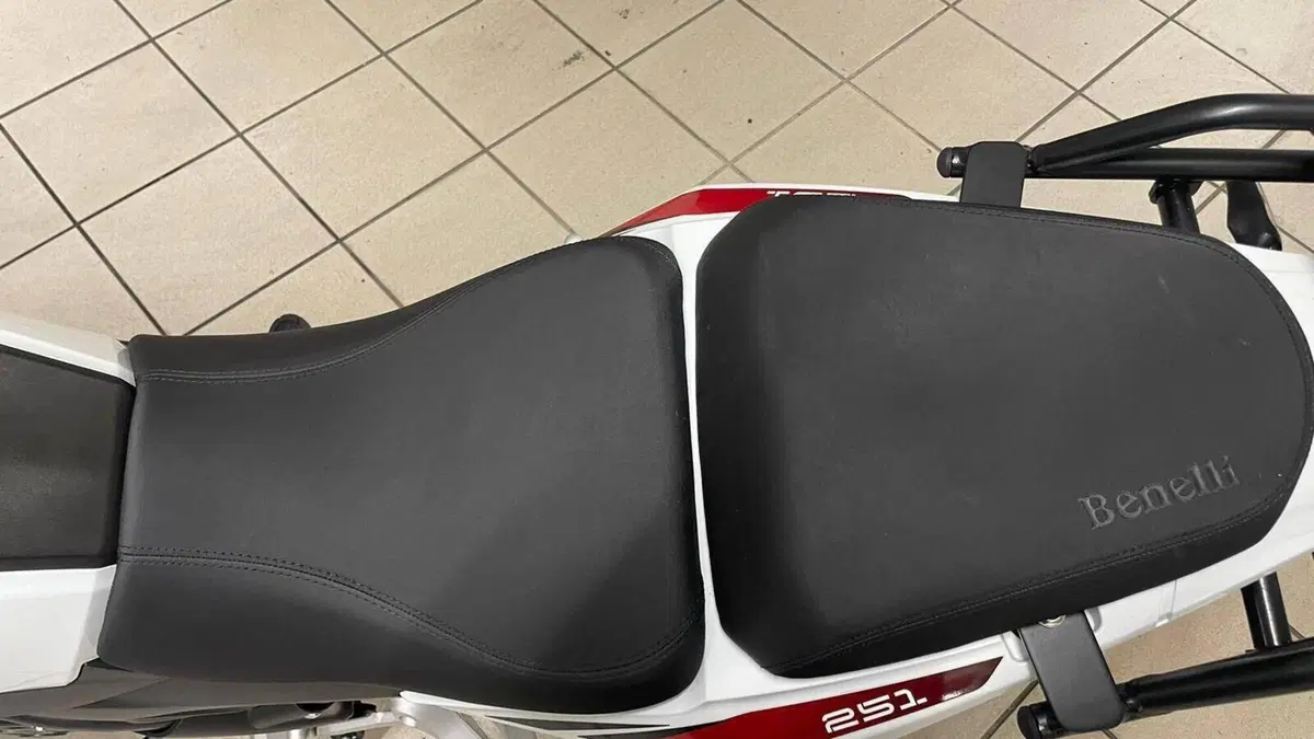 Benelli TRK 251 (2019 - 20)  (11)