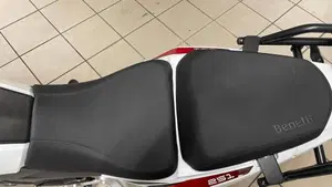Benelli TRK 251 (2019 - 20)  (11)