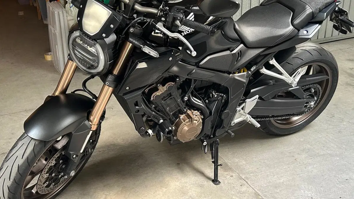 Honda CB 650 R (2019 - 20)  (2)