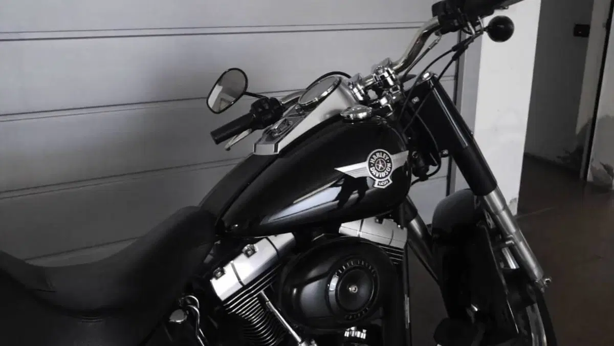 Harley-Davidson 1584 Fat Boy (2008 - 10) - FLSTF  (8)