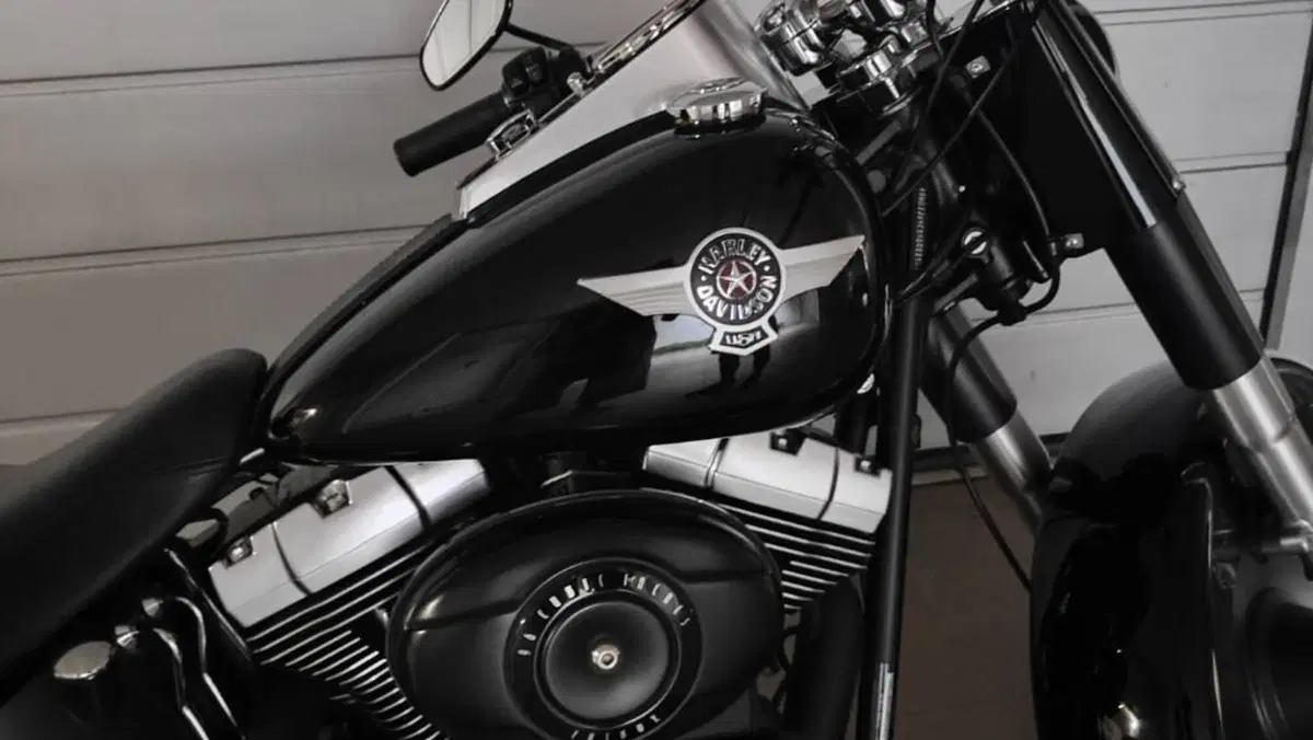 Harley-Davidson 1584 Fat Boy (2008 - 10) - FLSTF  (11)