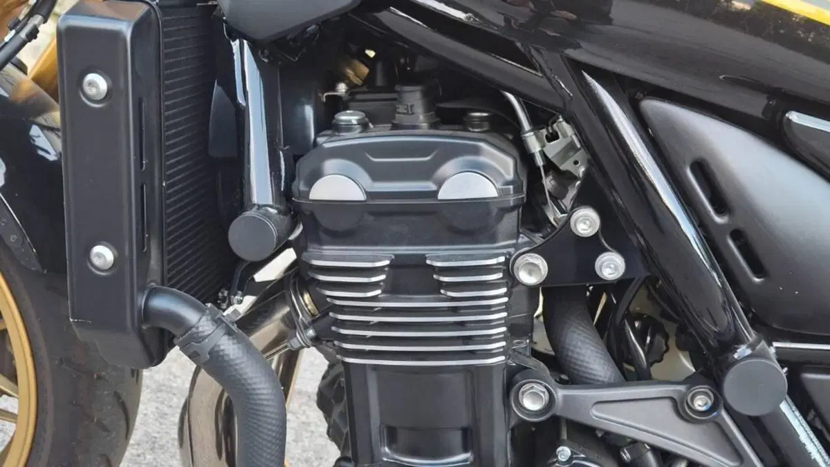 Kawasaki Z 900 RS SE (2022 - 25)  (5)