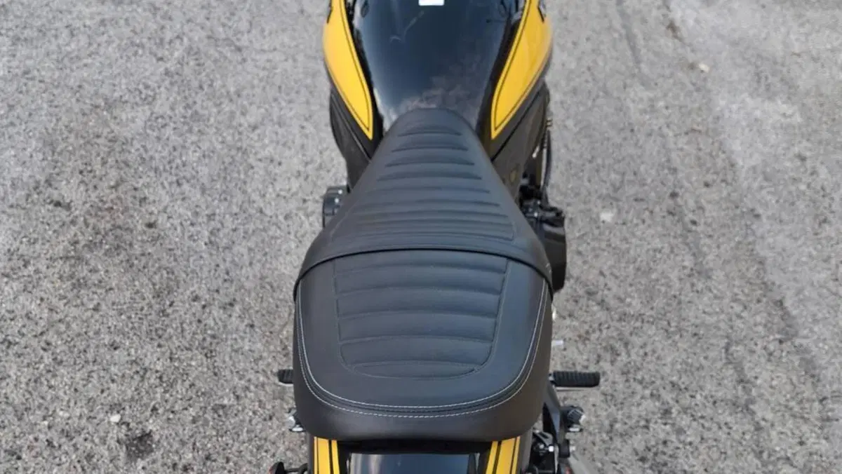 Kawasaki Z 900 RS SE (2022 - 25)  (6)