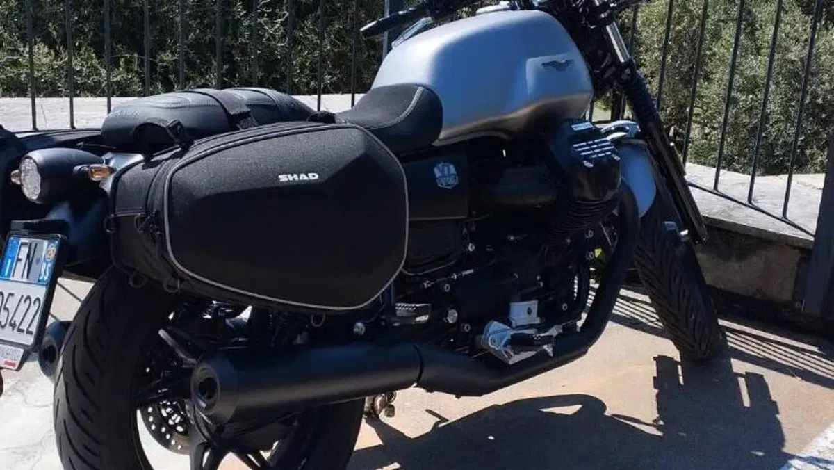 Moto Guzzi V7 Stone (2021 - 24)  (6)