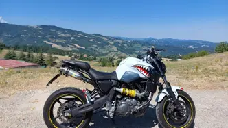 Yamaha MT-03 (2006 - 14) usata