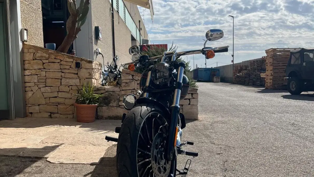 Harley-Davidson Breakout 117 (2023 - 24)  (10)
