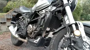 Voge Trofeo 300ACX Scrambler (2021 - 26)  (2)
