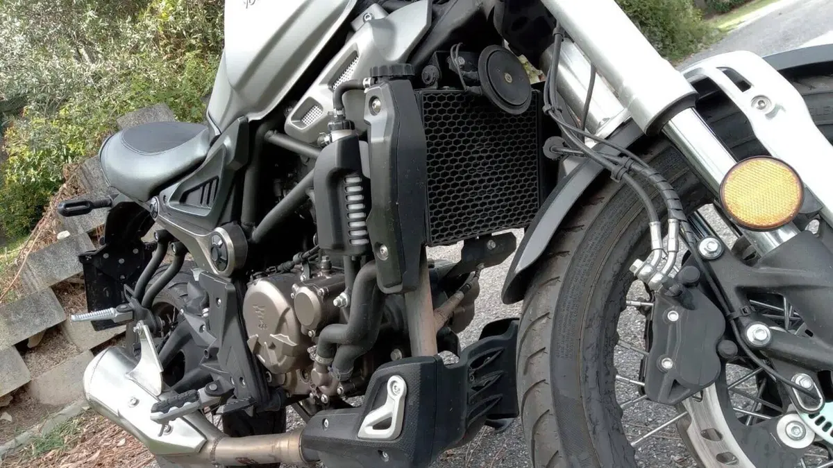 Voge Trofeo 300ACX Scrambler (2021 - 26)  (3)