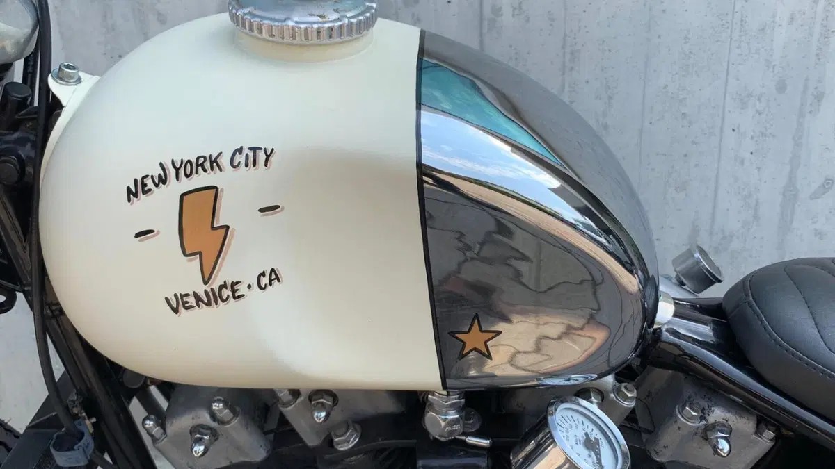 Harley-Davidson   (3)