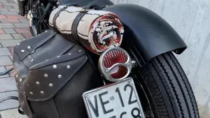 Harley-Davidson   (5)