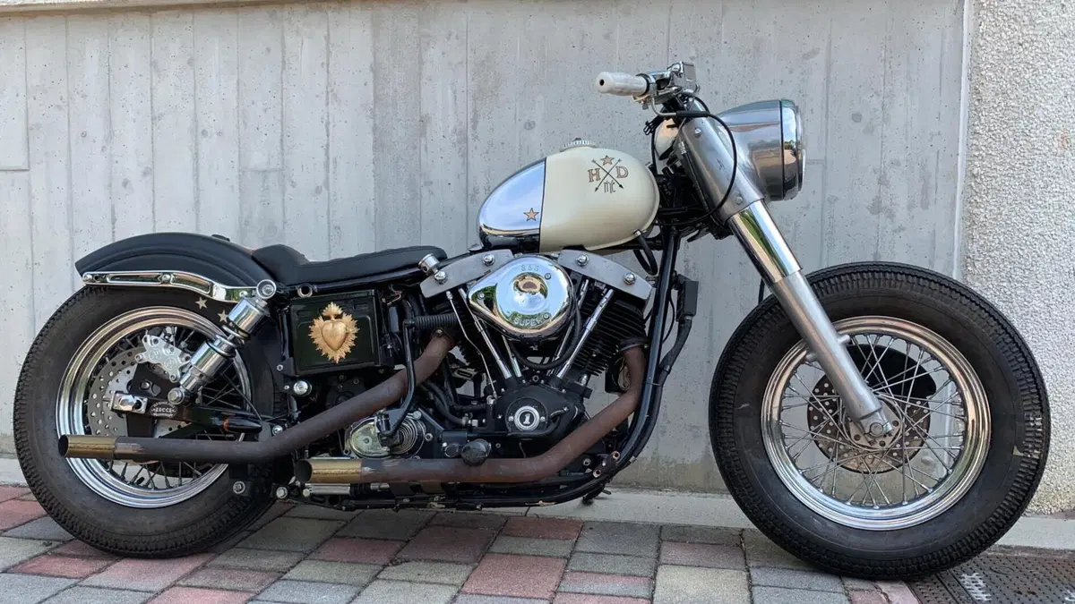 Harley-Davidson   (6)