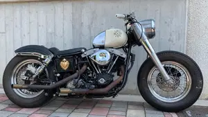 Harley-Davidson   (6)