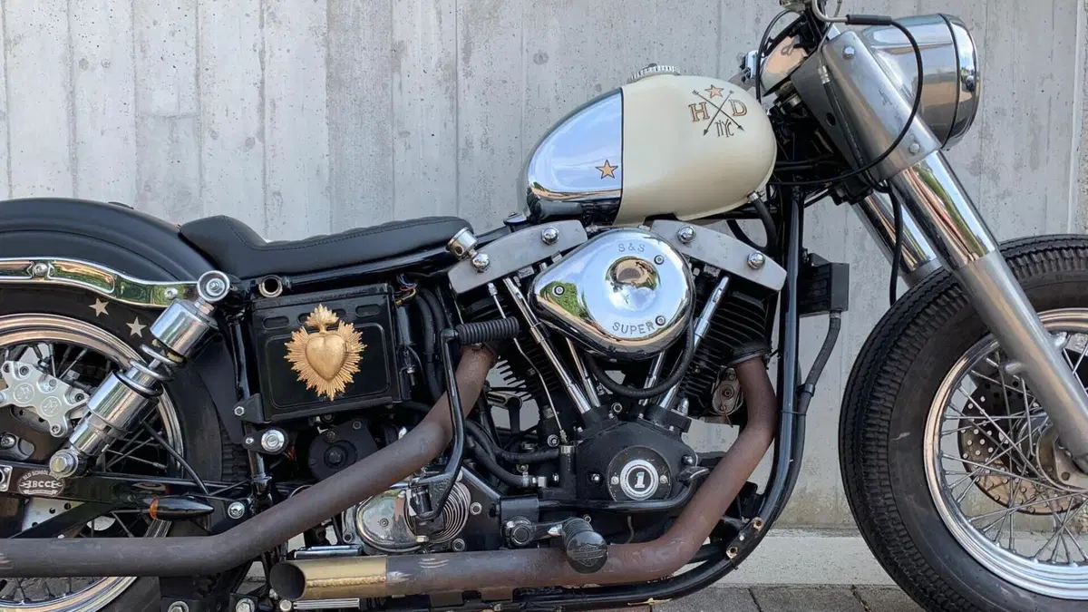 Harley-Davidson   (7)