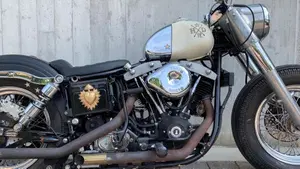 Harley-Davidson   (7)